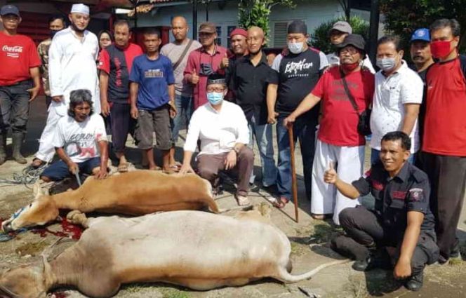 
					Idul Adha, PDIP Kota Bogor Sebar 1 Ton Daging Sapi