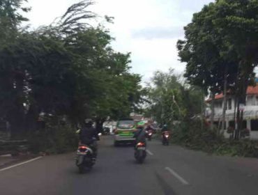angin kencang dan hujan deras landa Bogor Selatan (foto aldho)