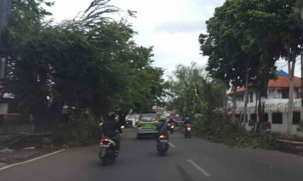 angin kencang dan hujan deras landa Bogor Selatan (foto aldho)