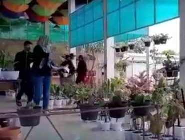 Seorang warga terlihat tengah memilih-milih tanaman hias.