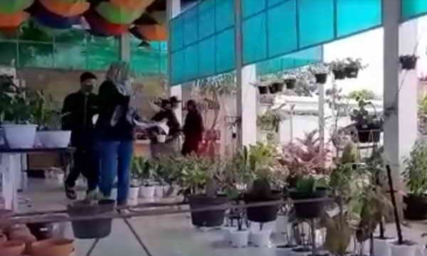 Seorang warga terlihat tengah memilih-milih tanaman hias.