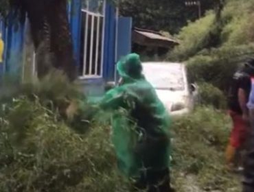 Pohon tumbang timpa mobil dan motor