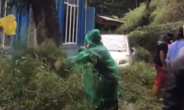 Pohon tumbang timpa mobil dan motor