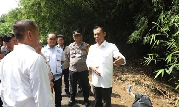 Wakil Bupati Bogor Jaro Ade Foto: Saefulloh