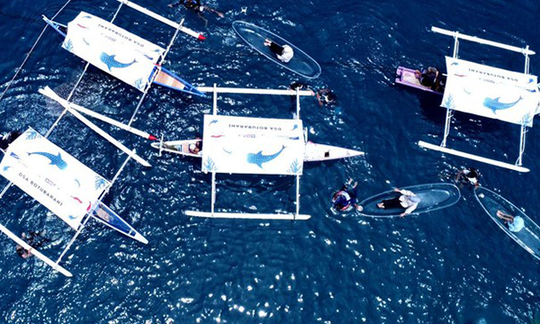 Foto aerial sejumlah wisatawan melihat Hiu Paus (Rhincodon Typus) dengan menaiki perahu di objek wisata Hiu Paus Desa Botubarani, Kabupaten Bone Bolango, Gorontalo Foto: ANTARAFOTO/Adiwinata Solihin
