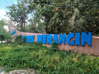 Papan nama menyerupai perahu besar bertuliskan “Taman Geopark Merangin” ditumbuhi rumput liar hampir menutupi tulisan tersebut Foto: (Liputan6.com/Gresi Plasmanto)