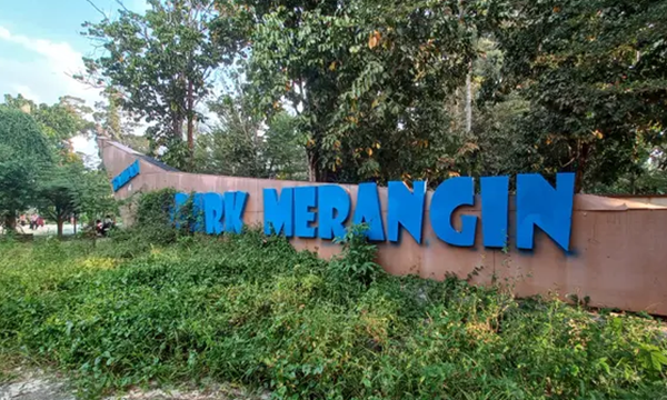 Papan nama menyerupai perahu besar bertuliskan “Taman Geopark Merangin” ditumbuhi rumput liar hampir menutupi tulisan tersebut Foto: (Liputan6.com/Gresi Plasmanto)