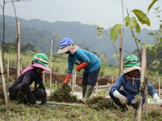 Warga sekitar yang menjadi karyawan Ediger land tengah bekerja. (Foto:ist)