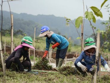 Warga sekitar yang menjadi karyawan Ediger land tengah bekerja. (Foto:ist)
