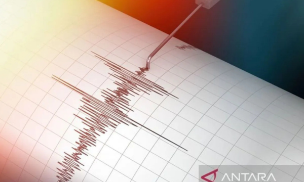 Ilustrasi - Seismograph gempa bumi. (ANTARA/Shutterstock/McCarony)
