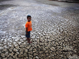 Ilustrasi kekeringan Foto: Jhoni Hutapea