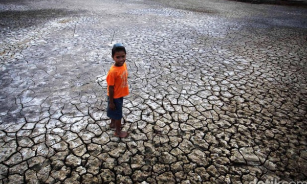 Ilustrasi kekeringan Foto: Jhoni Hutapea