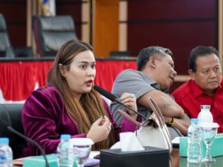 Ketua Tim Pansus Raperda PP-Ekraf, Karina Soerbakti,. (foto: Humpro)