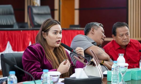 Ketua Tim Pansus Raperda PP-Ekraf, Karina Soerbakti,. (foto: Humpro)