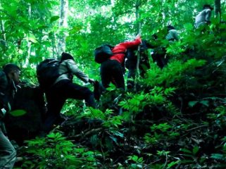 Lahan ganja di Aceh Besar. (Foto: BNN)