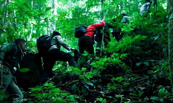 Lahan ganja di Aceh Besar. (Foto: BNN)