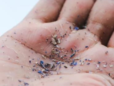 Microplastic Foto: IFL Science