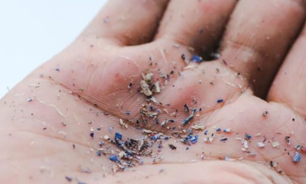 Microplastic Foto: IFL Science