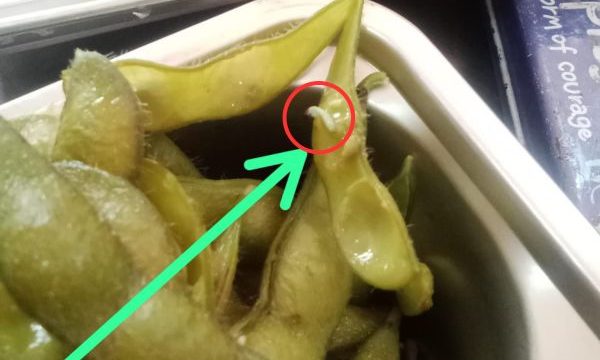 Edammame yang diduga ditemukan benda mirip ulat. (foto: ist)