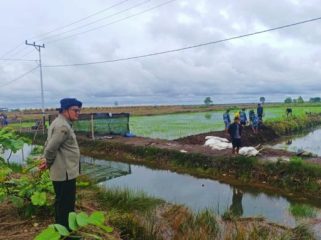 Brigade Pangan (BP) merupakan strategi Kementan untuk mempercepat swasembada pangan sekaligus meregenerasi petani.(Foto : Kementan)