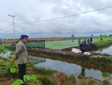 Brigade Pangan (BP) merupakan strategi Kementan untuk mempercepat swasembada pangan sekaligus meregenerasi petani.(Foto : Kementan)