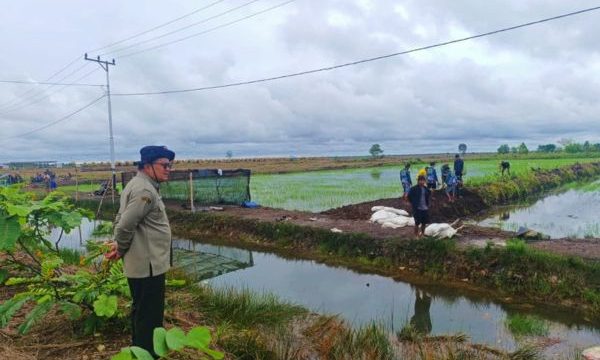 Brigade Pangan (BP) merupakan strategi Kementan untuk mempercepat swasembada pangan sekaligus meregenerasi petani.(Foto : Kementan)