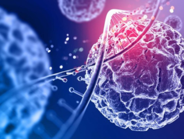 Ilustrasi sel. Foto: kjpargeter/Freepik