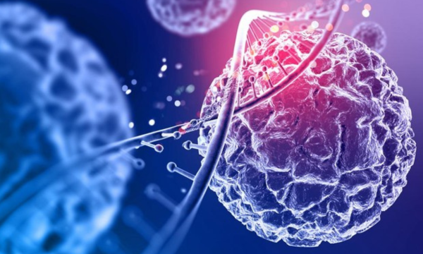 Ilustrasi sel. Foto: kjpargeter/Freepik