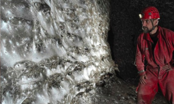 Jaring Laba-laba Terbesar Dunia di Gua Horor, Dihuni 111.000 Laba-laba (Foto: Marek Audy via Vice)