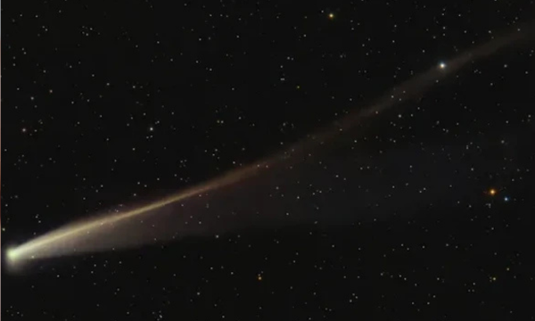 Komet C/2025 K1 (ATLAS). (Foto: Dan Bartlett)