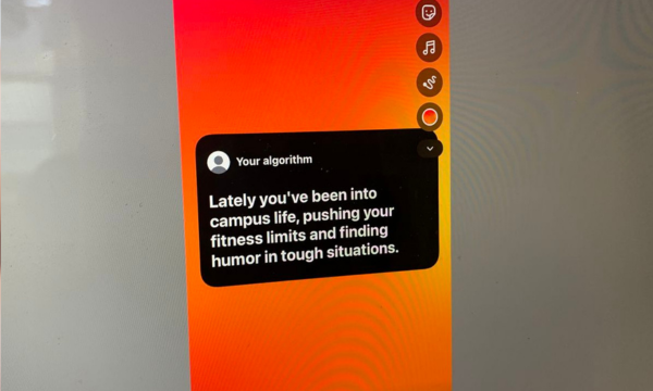 Tren Your Algorithm yang ramai dibagikan di Story IG. Tren ini menampilkan rangkuman algoritma dari preferensi atau minat tontonan kita di Reels dan Explore Instagram.(Foto: KOMPAS.com/Zulfikar Hardiansyah)