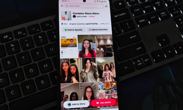 Ilustrasi lagu Stecu Stecu di aplikasi TikTok (Foto: Kompas.com/Lely Maulida)