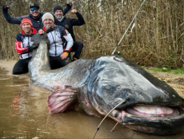 Lele sepanjang hampir 3 meter ditangkap di Polandia. Foto: TPVWorld