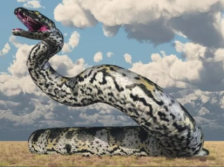 Titanoboa: Ular 13 Meter Penguasa Bumi Setelah Zaman Dinosaurus Foto: NewsWeek