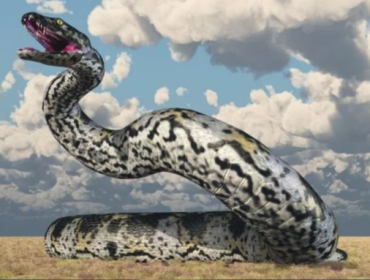 Titanoboa: Ular 13 Meter Penguasa Bumi Setelah Zaman Dinosaurus Foto: NewsWeek
