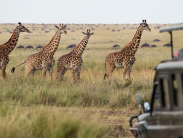 Foto: Getty Images/iStockphoto/mantaphoto