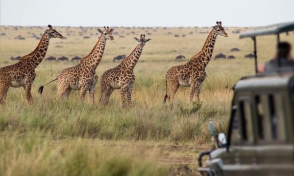 Foto: Getty Images/iStockphoto/mantaphoto