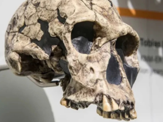 Foto: Danny Ye/Shutterstock.com