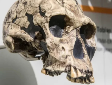 Foto: Danny Ye/Shutterstock.com