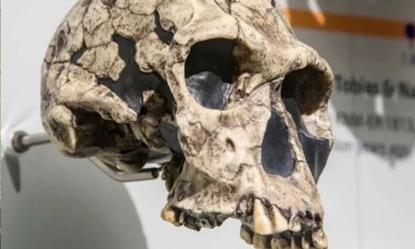 Foto: Danny Ye/Shutterstock.com