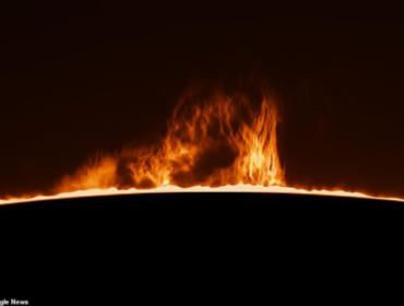 Foto: Paul Andrew via Daily Mail