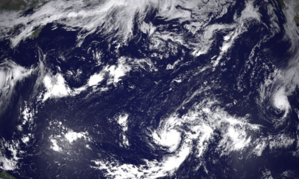 Ilustrasi samudra. Foto: Getty Images