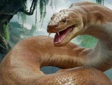 Foto: via The Brighter Side