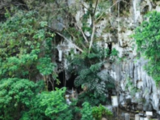  Foto: Griffith University