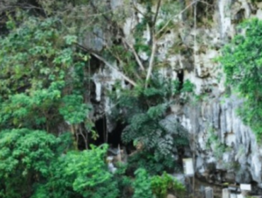  Foto: Griffith University