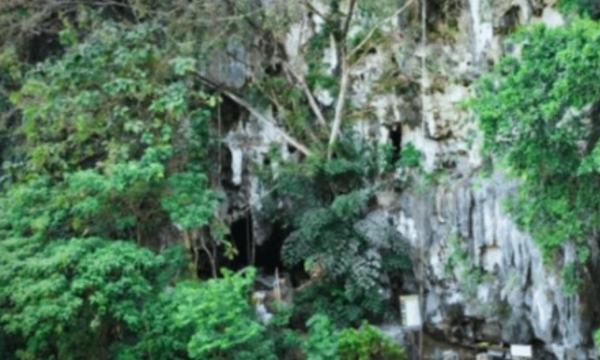  Foto: Griffith University