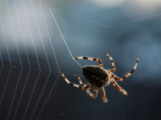 Foto: Getty Images/iStockphoto/marthadavies