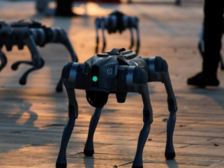 Ilustrasi. Universitas Galgotias diminta untuk meninggalkan booth mereka di gelaran AI Summit India usai tertangkap basah mengklaim berhasil bikin robot anjing. (Foto: REUTERS/Daniel Becerril)