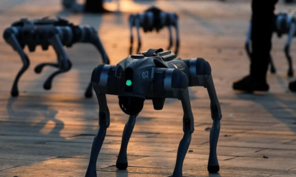 Ilustrasi. Universitas Galgotias diminta untuk meninggalkan booth mereka di gelaran AI Summit India usai tertangkap basah mengklaim berhasil bikin robot anjing. (Foto: REUTERS/Daniel Becerril)