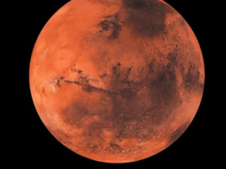 Foto: Getty Images/iStockphoto/Martin Holverda